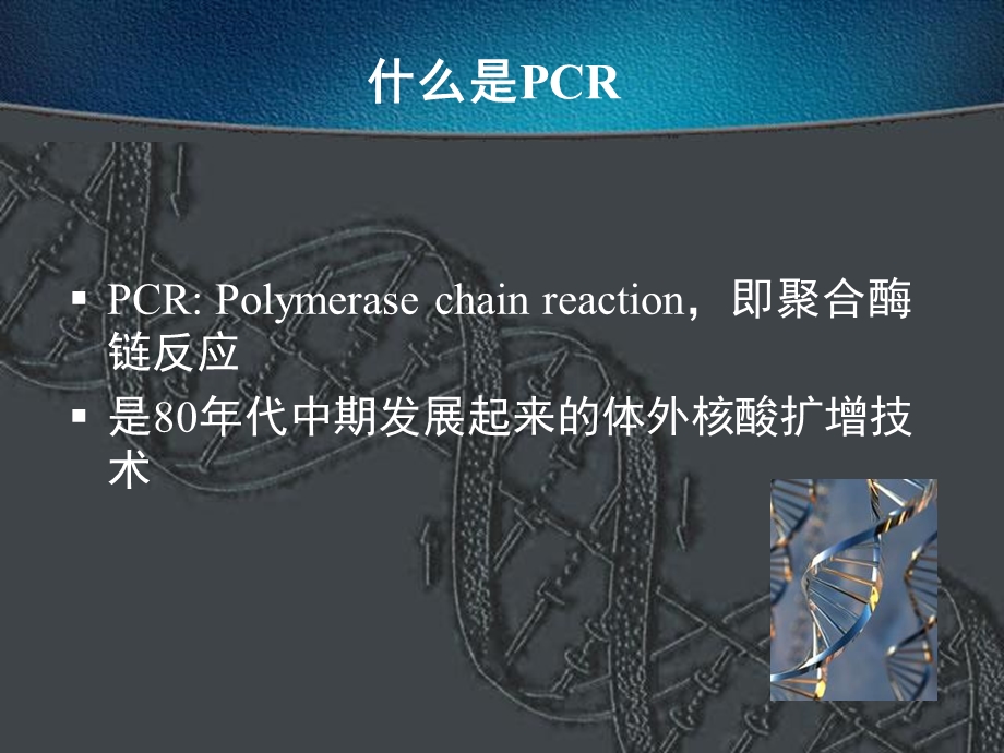 CR技术的原理、操作及应用.ppt_第2页