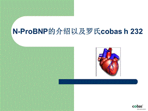 robnp以及罗氏cobash.ppt