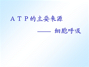 ATP的主要来源-细胞呼吸ppt.ppt