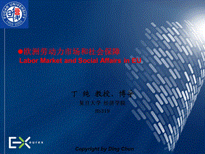 欧洲劳动力市场和社会保障03.ppt