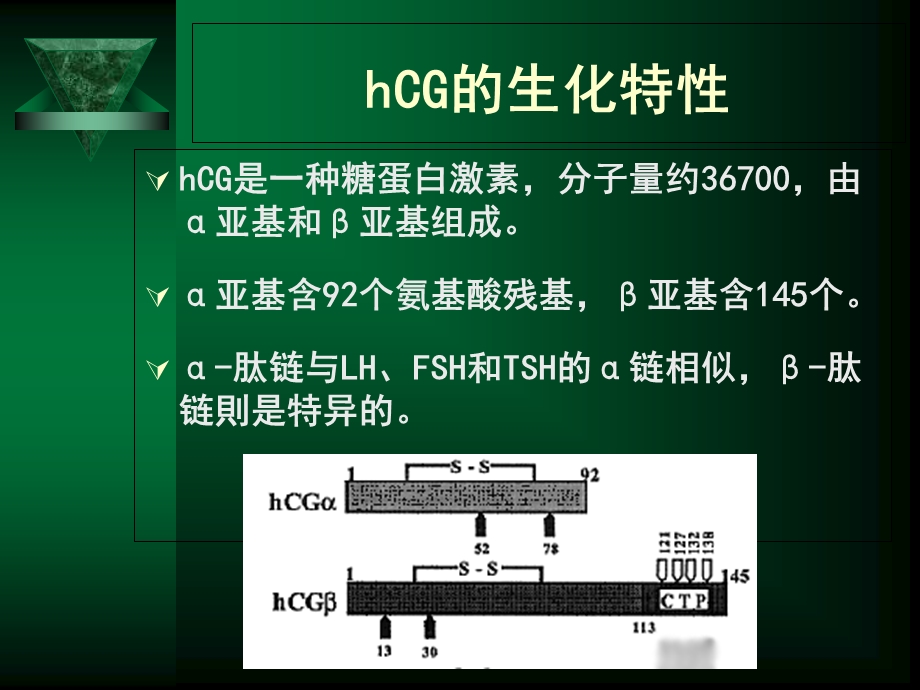 HCG定量检测的意义.ppt_第3页