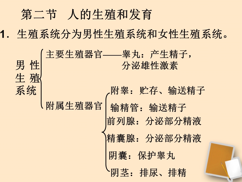 2015届海南三亚白沙中学新人教版七年级生物下册复习课件共60张.ppt_第3页