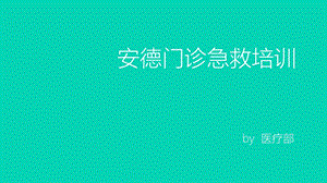 2017成人急救培训.ppt