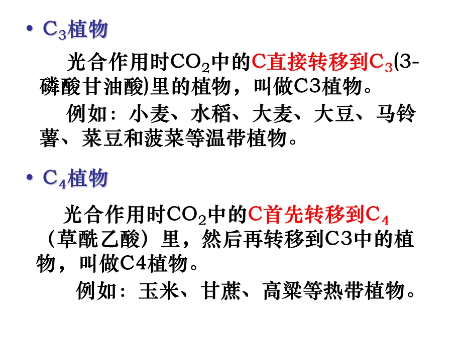 C3植物和C4植物比较.ppt_第3页