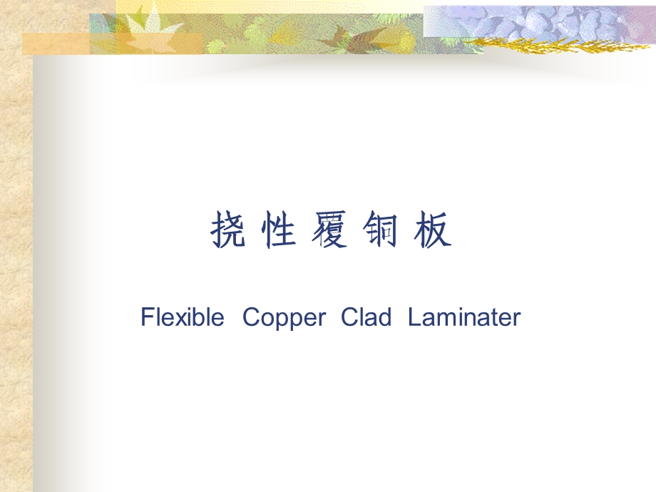 FCCL技术基础知识.ppt_第1页