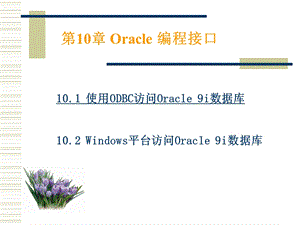 Oracle编程接口.ppt