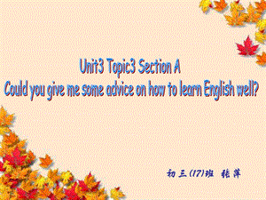 2016仁爱版九年级上 Unit3 Topic3 Section A.ppt