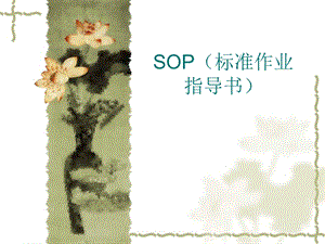 SOP制作注意事项培训.ppt