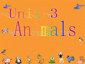 Animals动物优秀.ppt