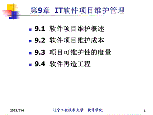 IT软件项目维护管理.ppt