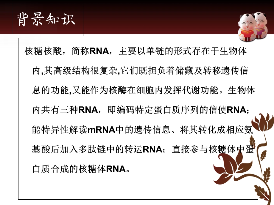 RNA的制备及纯度的鉴定.ppt_第3页