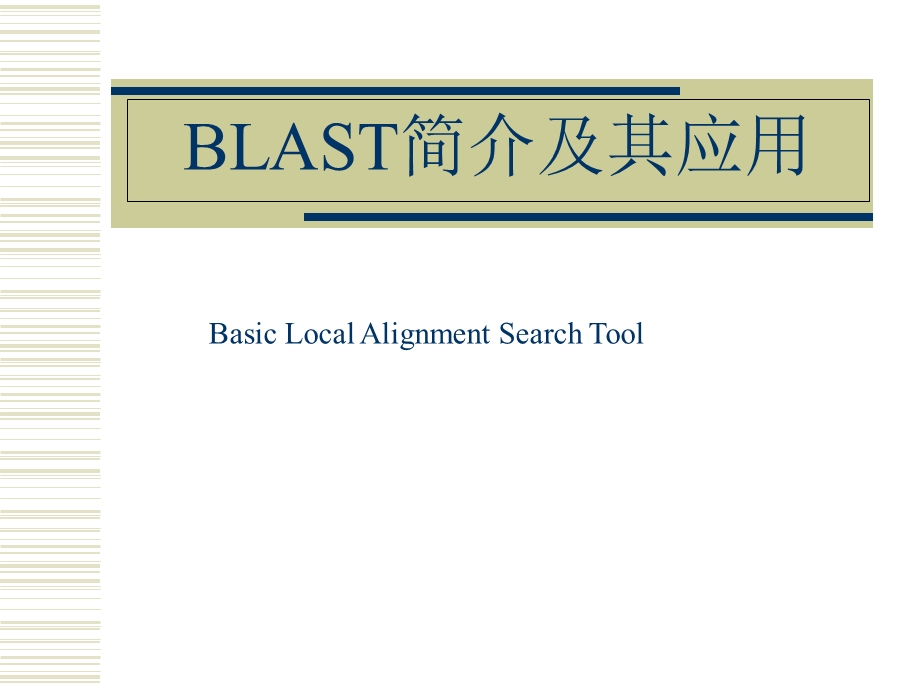 blast简介及其应用.ppt_第1页