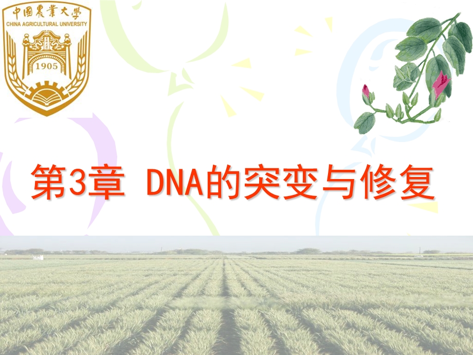 DNA的突变和修复.ppt_第1页