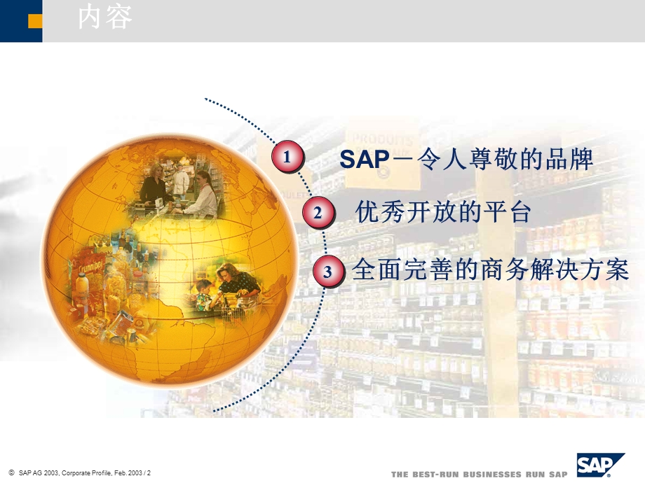 SAP介绍(完整详细版).ppt_第2页