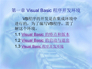 VisualBasic程序开发环境.ppt