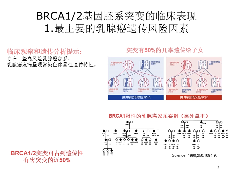 BRCA基因检测-精简版.ppt_第3页