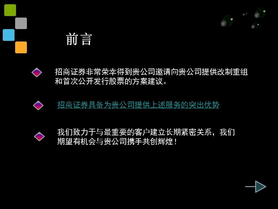 IPO项目建议书.ppt_第2页