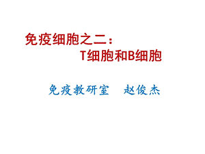 T淋巴细胞和B淋巴细胞.ppt