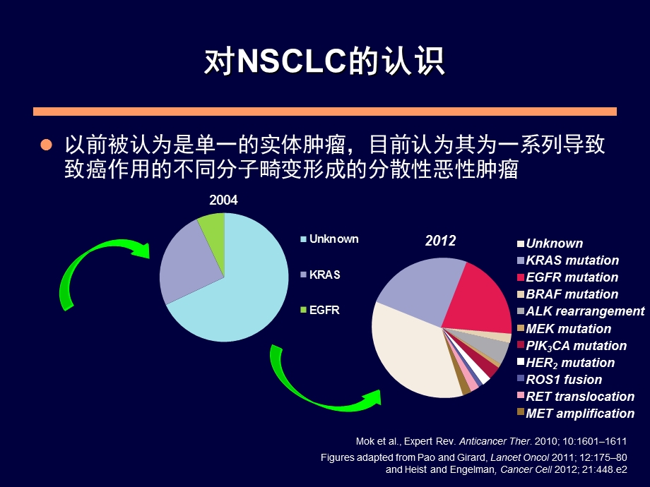 EGFR突变的非小细胞肺癌患者一线治疗.ppt_第3页