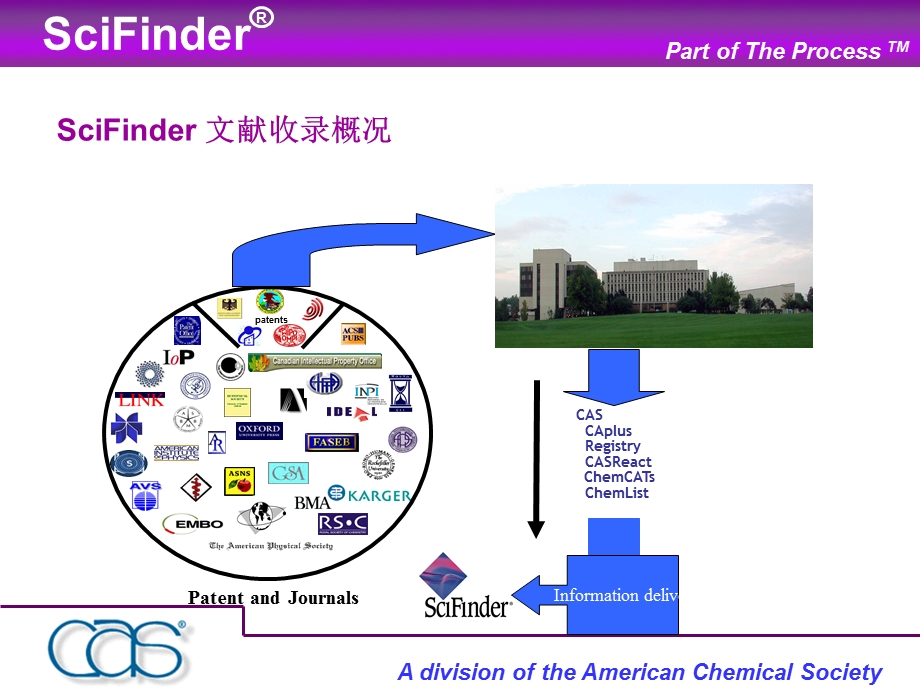 Scifinder文献检索与分析.ppt_第3页