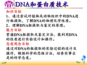 DNA和蛋白质技术wang.ppt