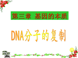 DNA分子的复制动画.ppt