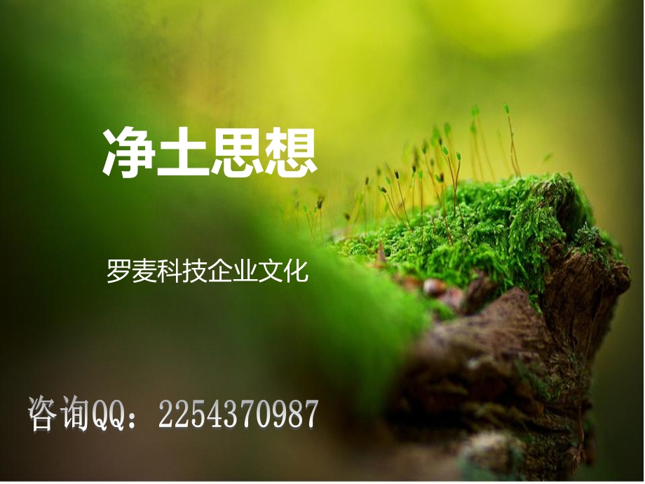 罗麦的企业文化ppt.ppt_第1页