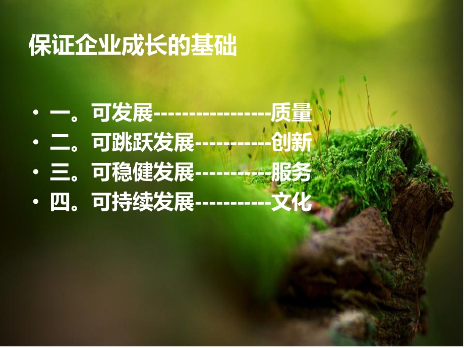 罗麦的企业文化ppt.ppt_第2页