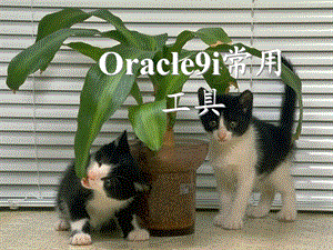 Oracle9i常用工具.ppt