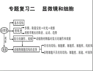 2014年中考生物复习课件：显微镜和细胞.ppt