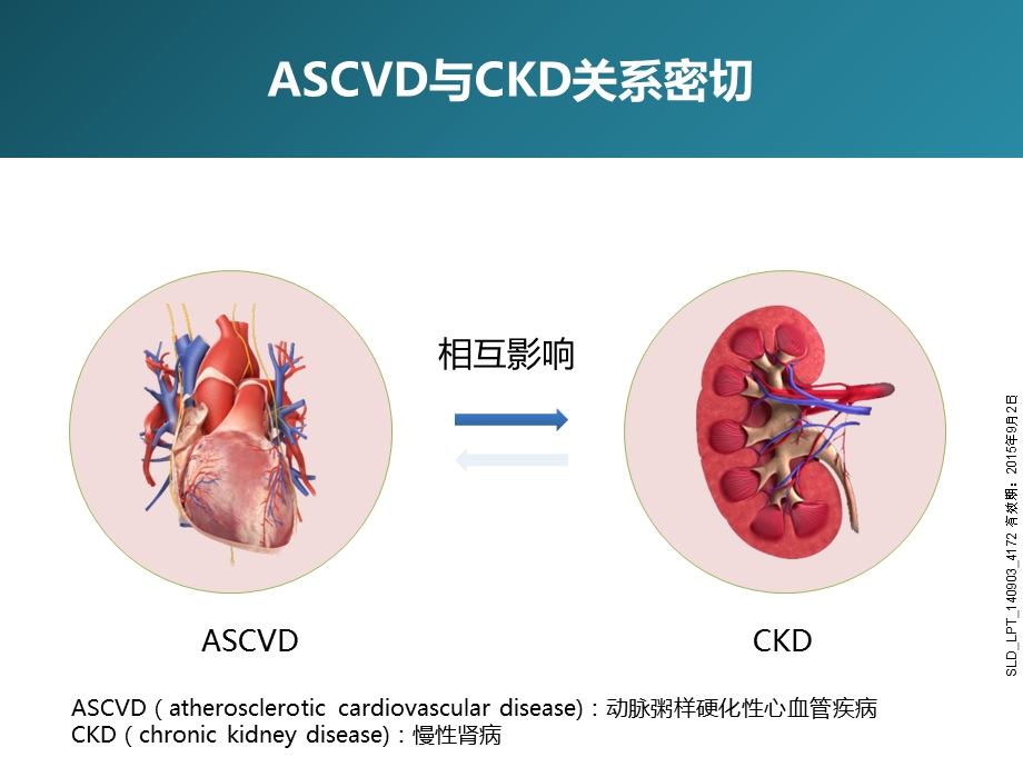 ascvd伴ckd患者他汀治疗.ppt_第2页