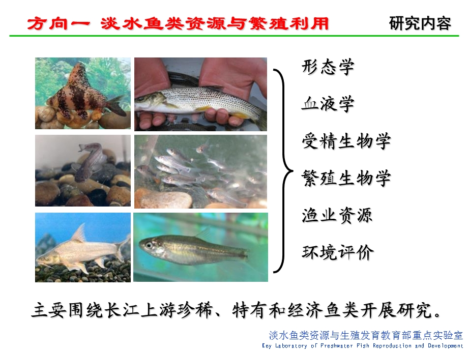 学术委员会工作汇报缩减.ppt_第3页