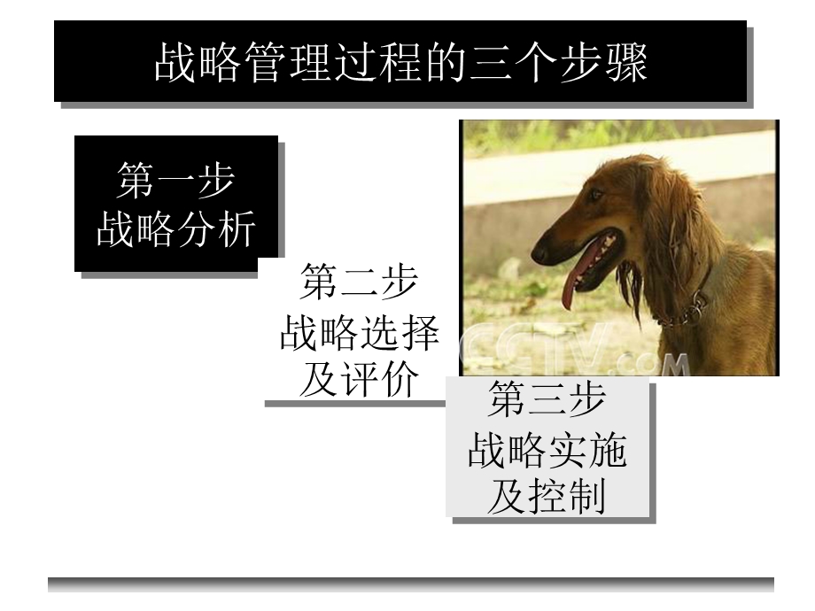 猎人与狗的战略启示.ppt_第3页