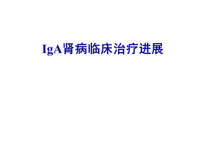 iga肾病临床治疗新进展PPT课件.ppt