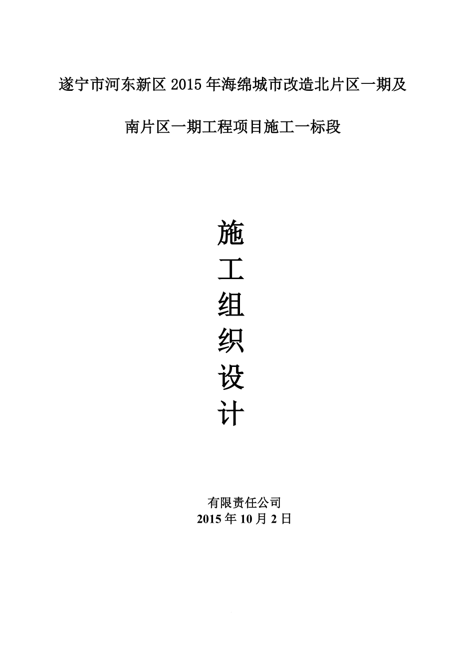 河东新区海绵城市改造北片区一期及南片区一期工程项目施工组织设计.doc_第1页