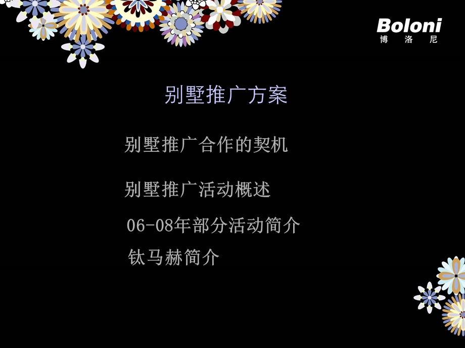 Boloni别墅推广方案.ppt_第2页