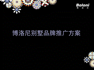 Boloni别墅推广方案.ppt