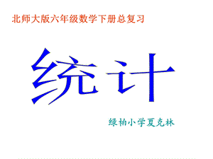 绿柏小学北师大六下总复习统计课件.ppt