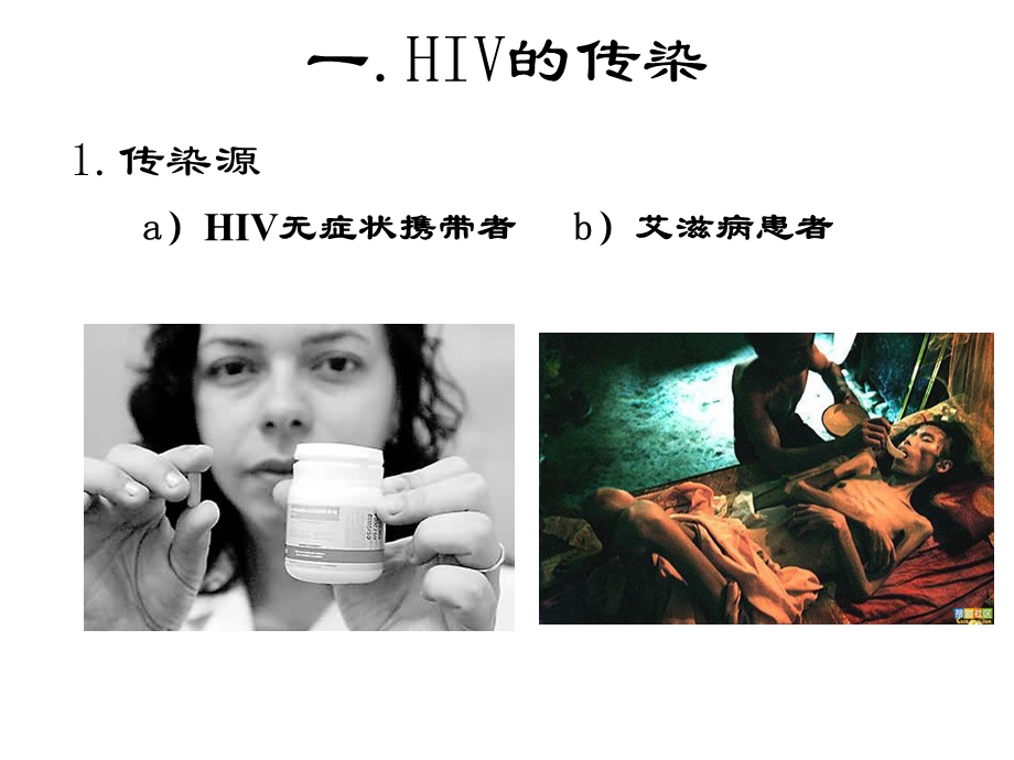 HIV的传染和致病.ppt_第2页