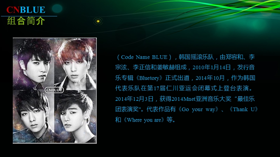 2015CNBLUE演唱会企划书.ppt_第3页