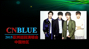 2015CNBLUE演唱会企划书.ppt