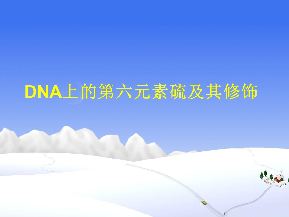 DNA第六元数硫.ppt_第1页