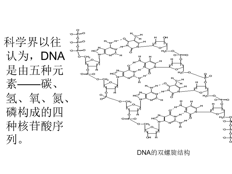 DNA第六元数硫.ppt_第2页