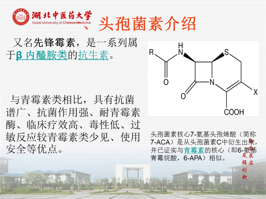 头孢菌素.ppt_第2页