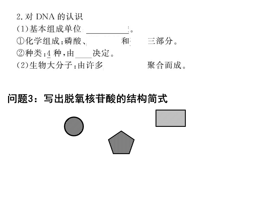 DNA是主要的遗传物质高用.ppt_第3页