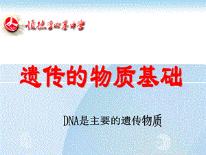 DNA是主要的遗传物质高用.ppt