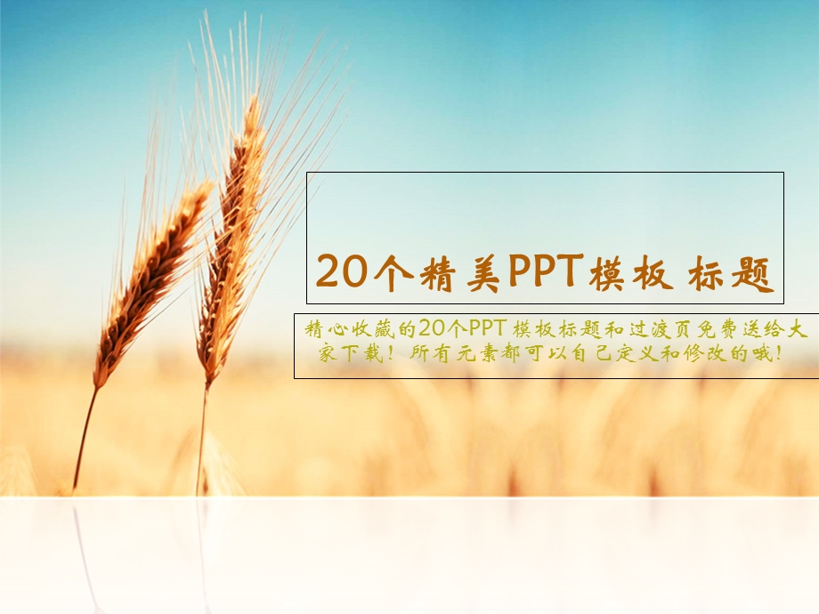 20个精美PPT模板标题(素材).ppt_第1页