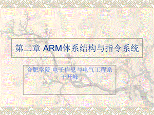 ARM体系结构与指令系统.ppt