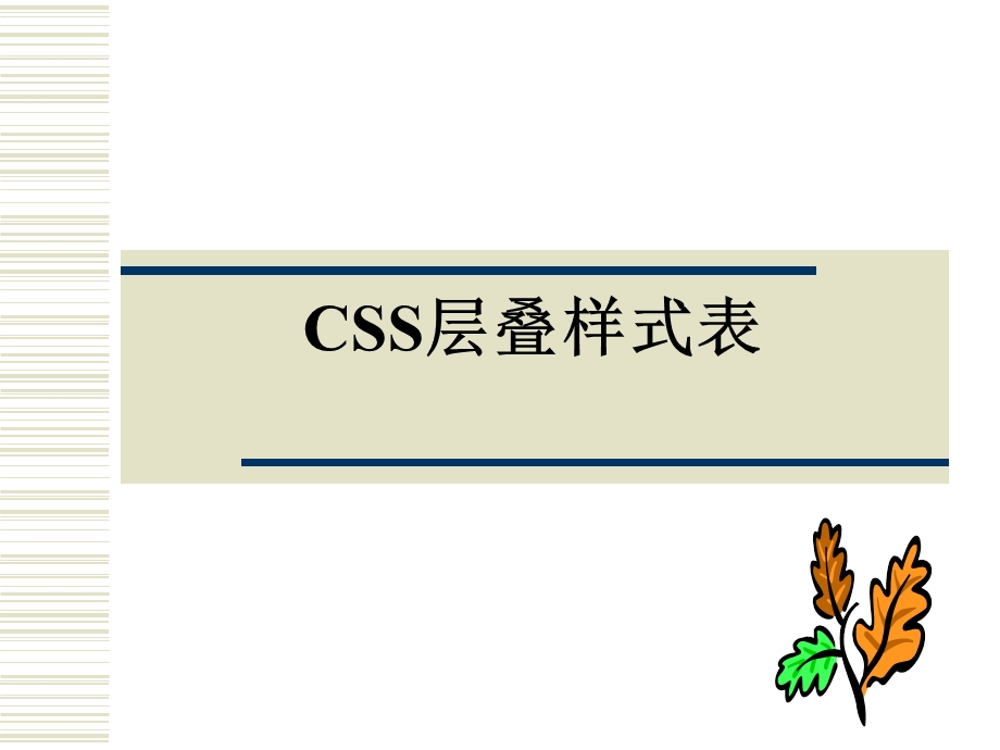 css课件(上课用).ppt_第1页