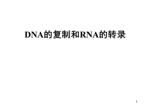 DNA复制和RNA转录.ppt